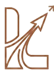 LDSIntelligence Logo